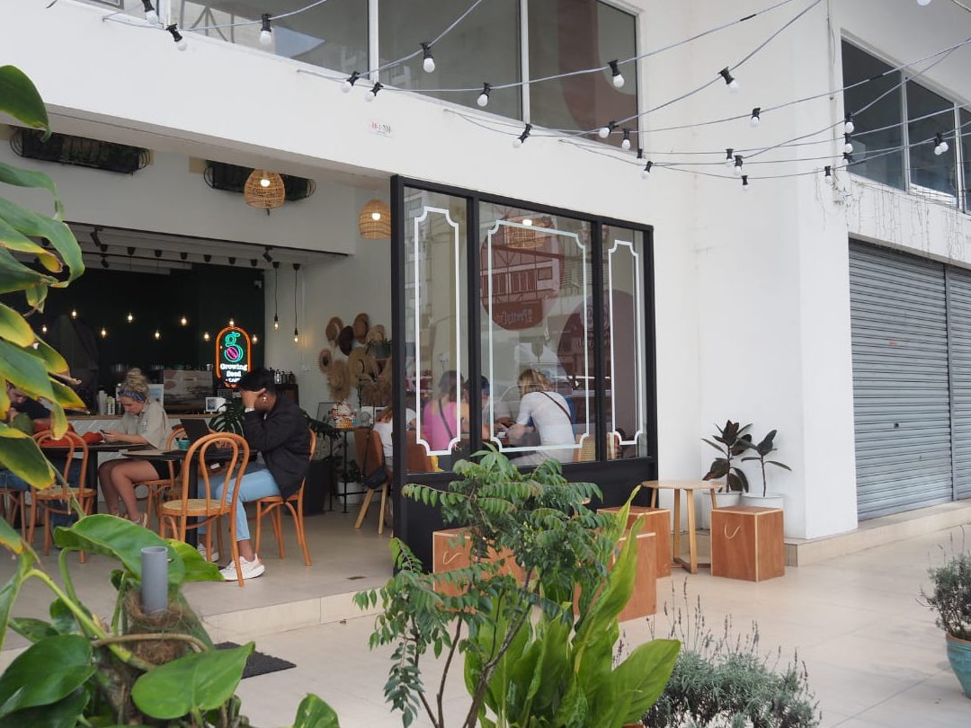 Growing Seed Cafe 1 growing seed cafe