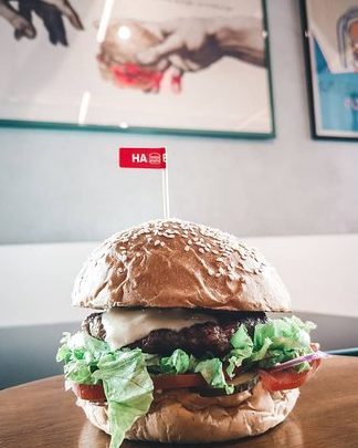 Ha Burger 1 ha burger