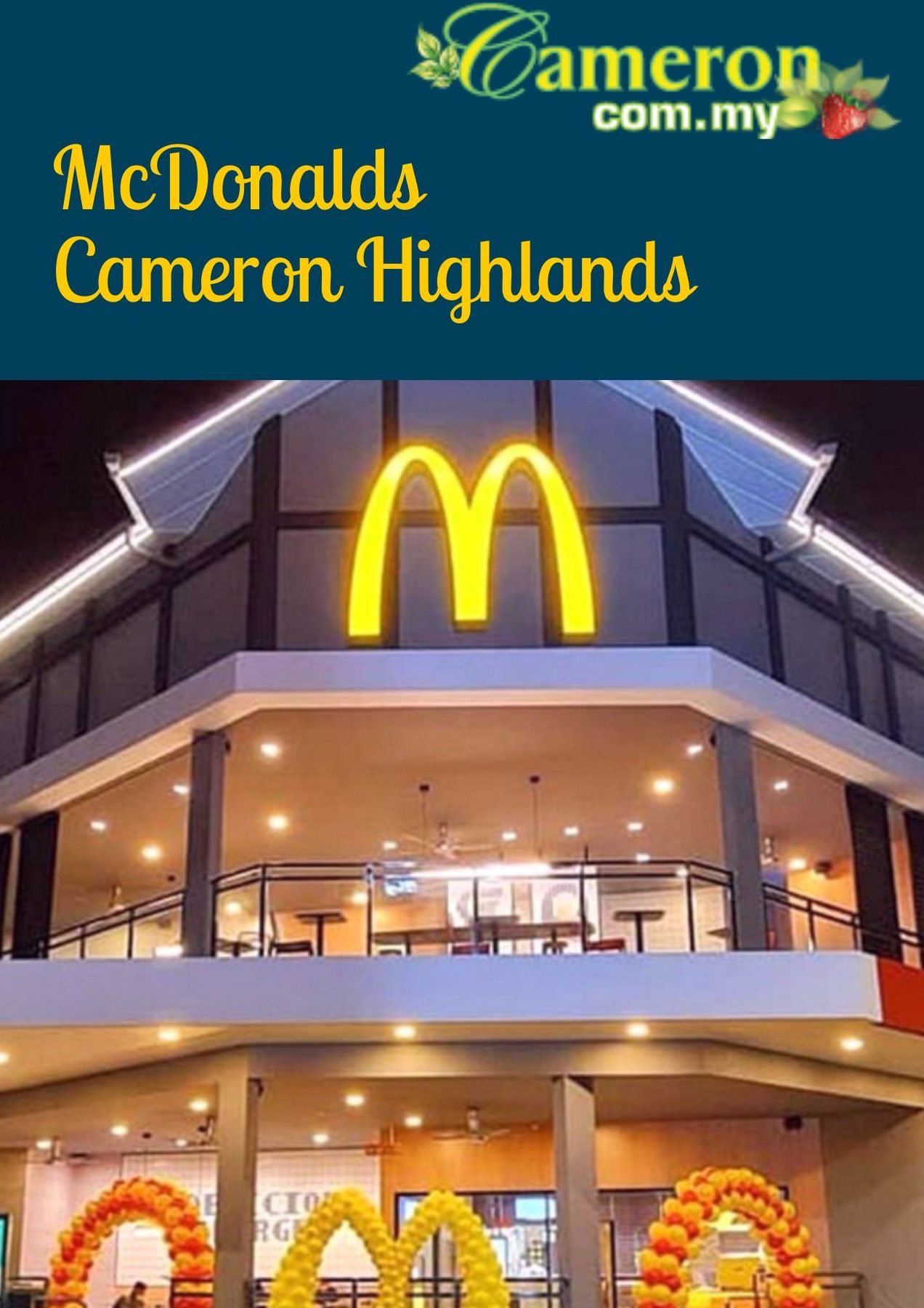 McDonald's Cameron Highlands DT 1 mcdonalds cameron highlands dt