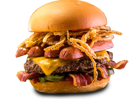 Moja Burger 1 moja burger