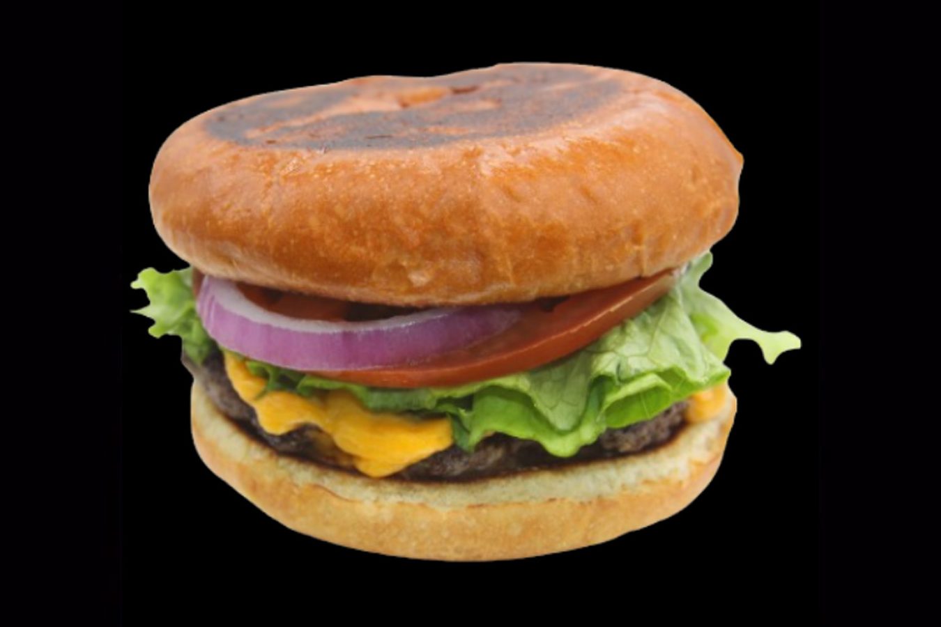 myxpress burger