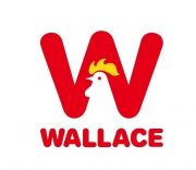 wallace bandar bukit tinggi 1 klang