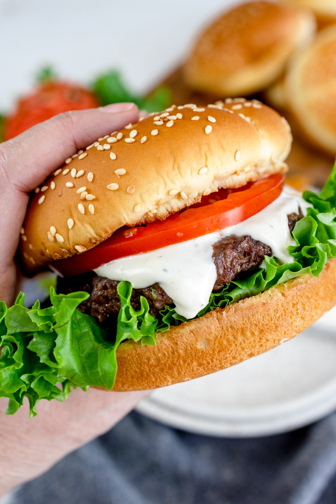 zr burger homemade
